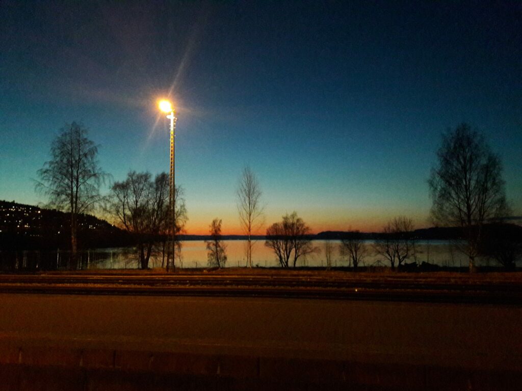 Fra togstasjonen med utsikt mot Hommelvikfjæra. Foto: Bjørg J. Eigard