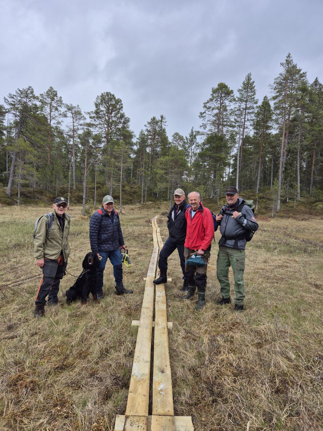 Magne Thomassen, Bjørn Herjuan, Egil Tjernvoll, Pål Malvik og Bjørn Sitter. – Selv om det er vi i Midsand Vel som legger kloppene, er det mange som bidrar – blant annet med transport. Foto Privat