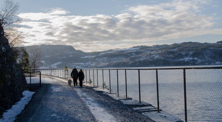 Foto: Malvik kommune