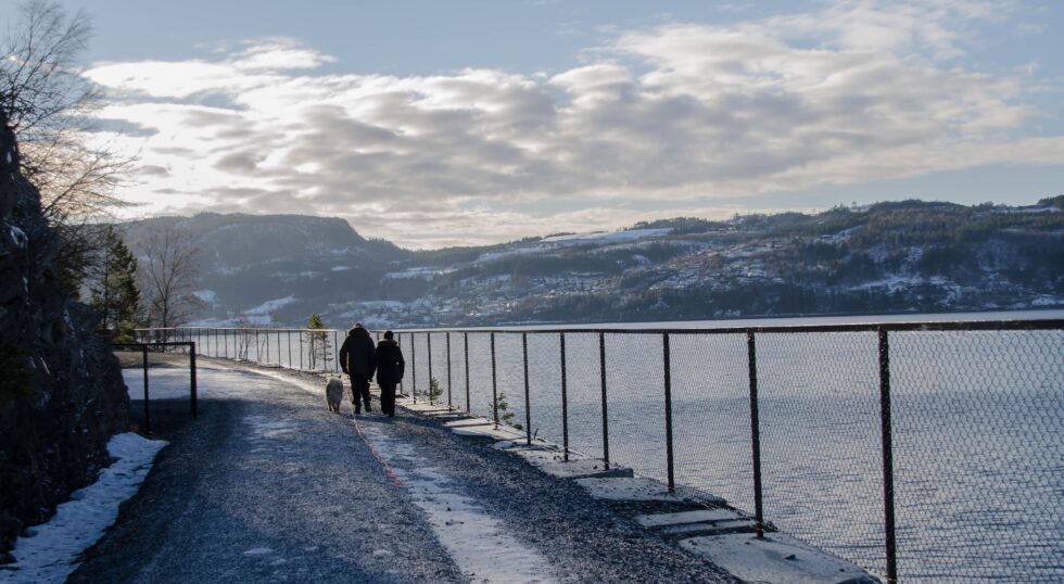 Foto: Malvik kommune