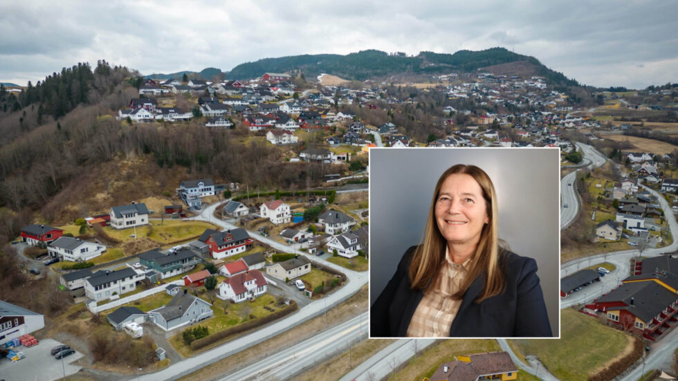 – Det er blitt veldig dyrt å eie og ta vare på egen bolig, sier Huseiernes distriktsleder i Trøndelag, Inger Johanne Dehli (innfelt). Foto: Kristoffer Antonsen / Innfelt foto: Huseierne.