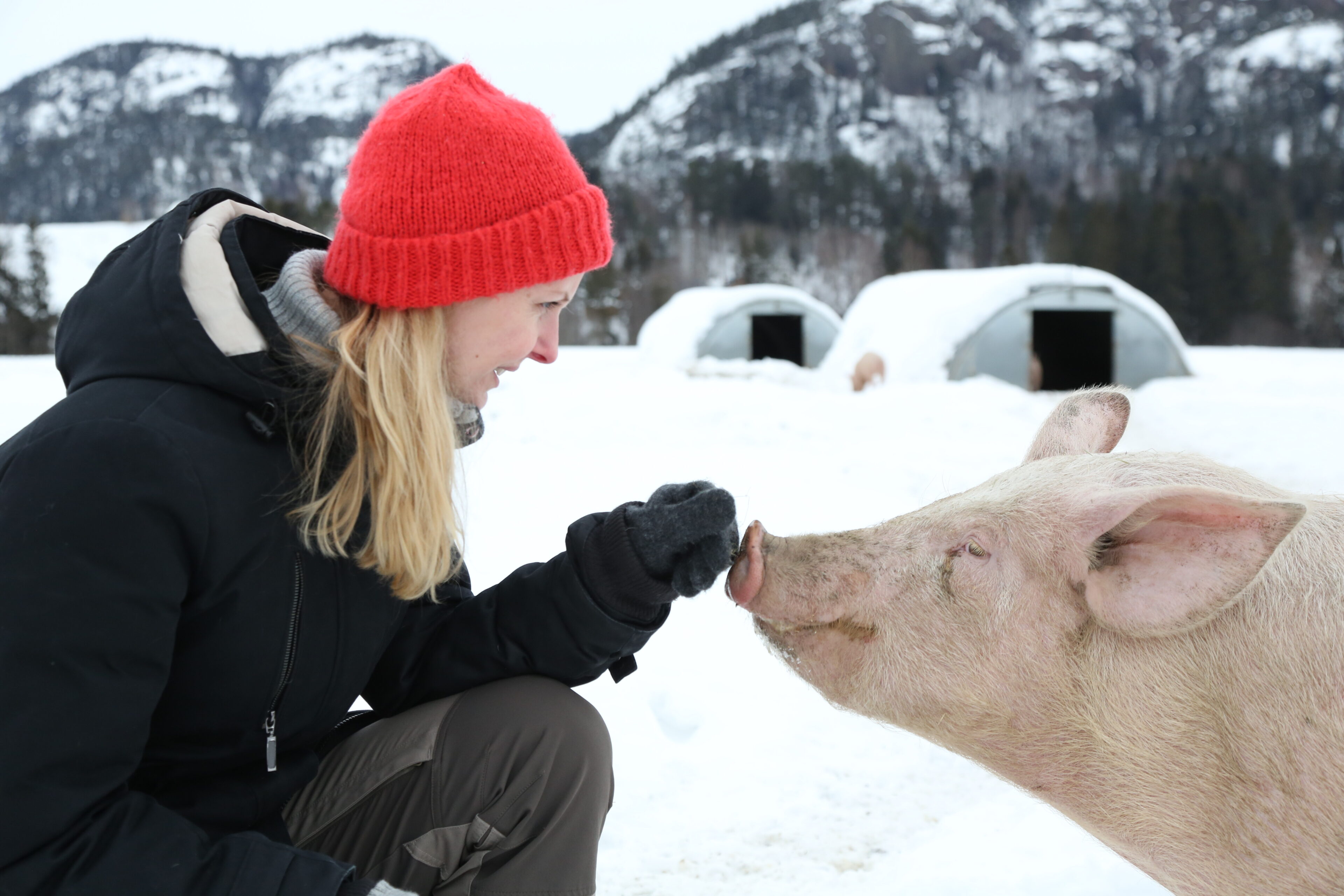 Foto: Iselin Linstad Hauge